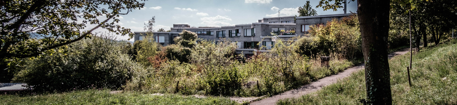 Schulen Stadt Schaffhausen