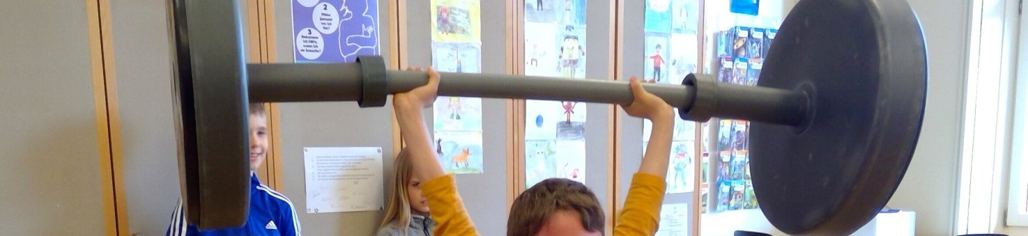 Schulen Stadt Schaffhausen